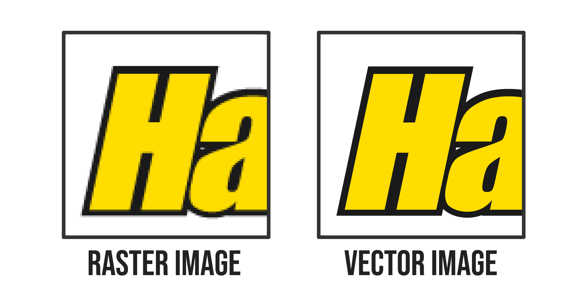 Raster Vs Vector Images