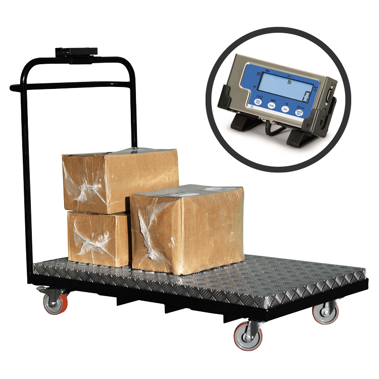 Weigh Scale Trolley